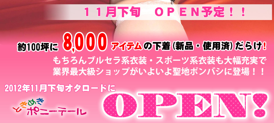 ���E���{���I�^���[�h�Ɂu�Ƃ��߂��|�j�[�e�[���vOPEN!